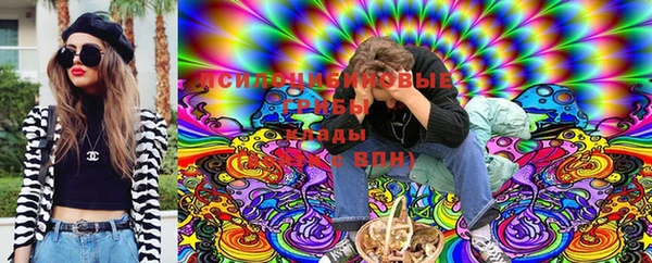крисы Алзамай